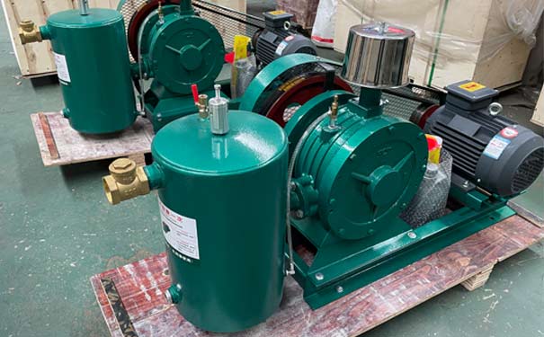 回轉(zhuǎn)鼓風(fēng)機抽空現(xiàn)象需要注意